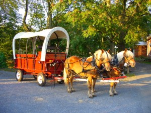 Dayze Gone Bye Carriage Rides