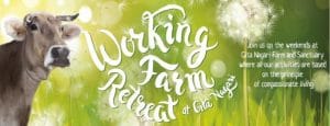 the-yoga-farm-working-retreat